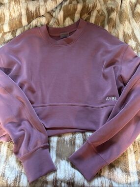 AYBL Dusty Mauve Cropped Sweatshirt